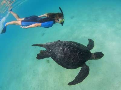 5 - 6 DAY GALAPAGOS NATIONAL PARK ADVENTURE TOURS COSTS [2026]: Enjoy the underwater world.
