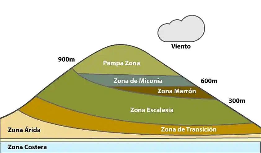 PARQUE NACIONAL GALÁPAGOS, SU FLORA Y FAUNA Y UBICACIÓN: Zonas de vegetación